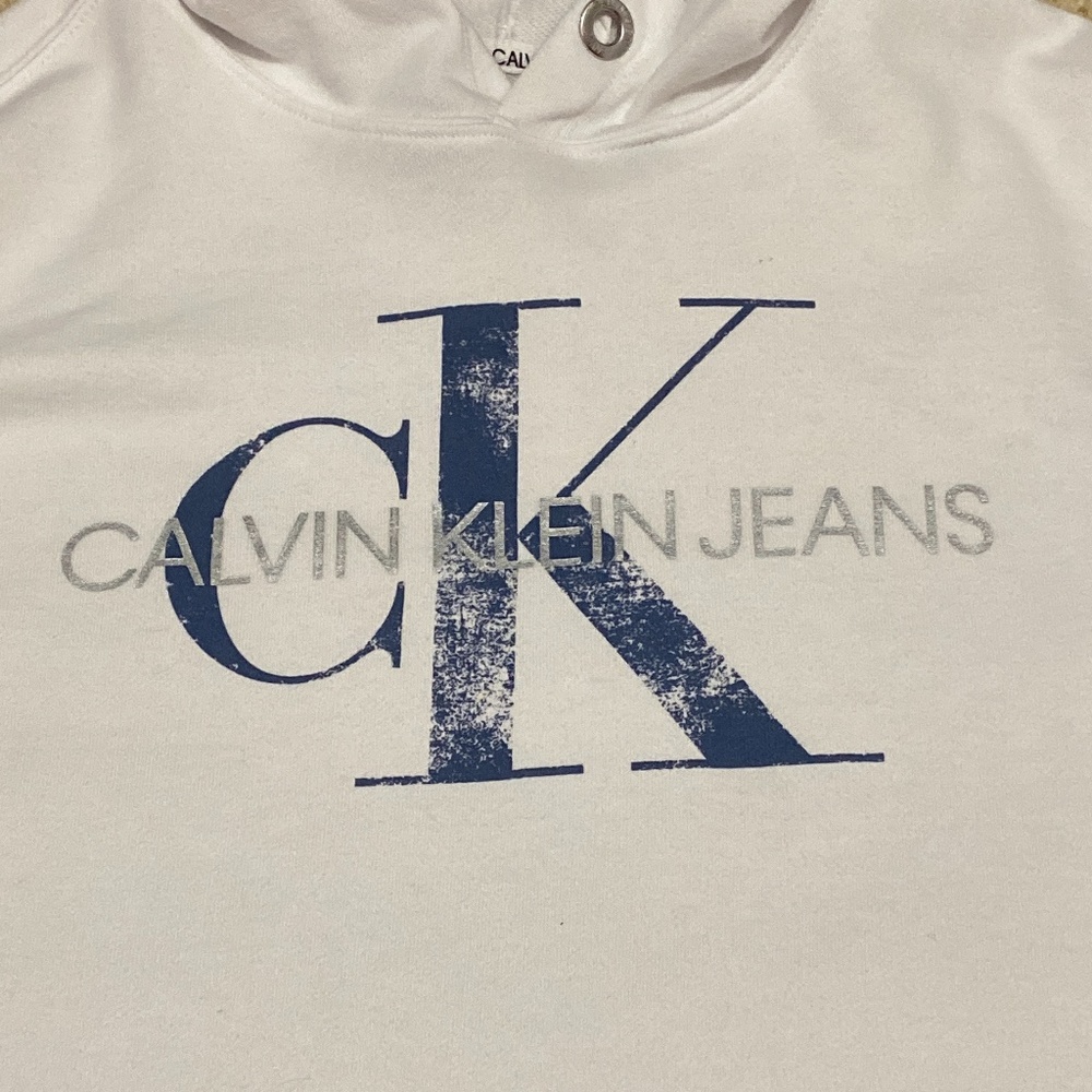 Calvin Klein Cropped Hoodie